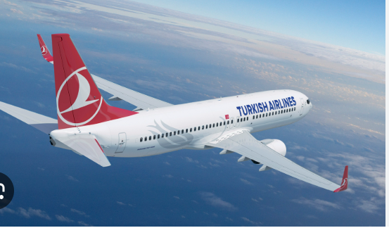 How to book last-minute Turkish Airlineflights? – @strangelycrystallinecreator on Tumblr